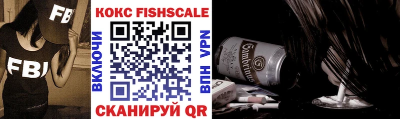 Cocaine Fish Scale  где можно купить наркотик  Иланский 