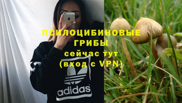 ГАЛЛЮЦИНОГЕННЫЕ ГРИБЫ Армянск