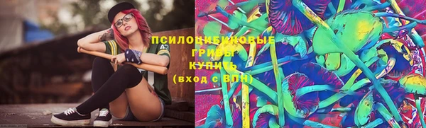ГАЛЛЮЦИНОГЕННЫЕ ГРИБЫ Армянск